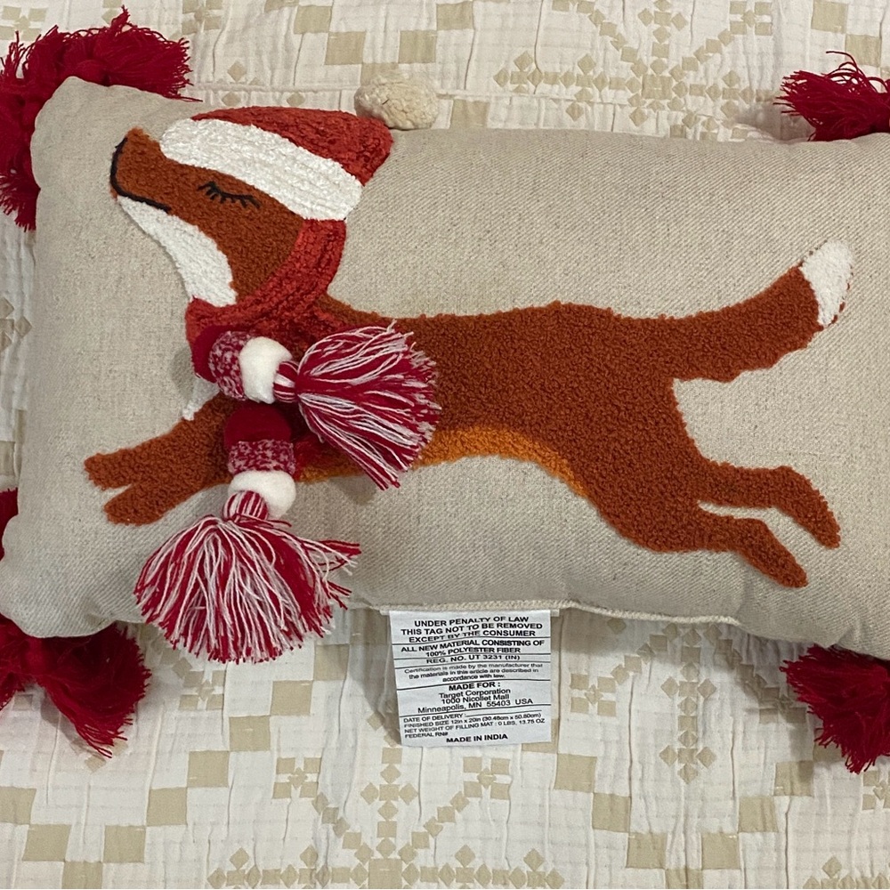 Opalhouse Christmas pillow